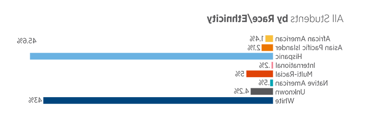 All Students by Race/Ethnicity